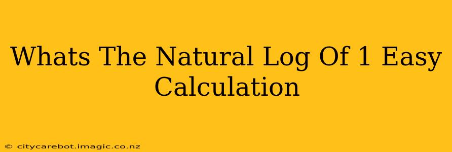Whats The Natural Log Of 1 Easy Calculation